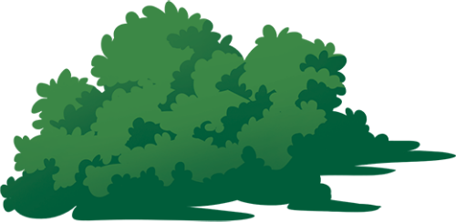 Bụi cây, cây xanh đậm, thiên nhiên, thực vật, trang trí, vườn, xanh lục, lá cây, bushes, dark green trees, nature, plants, decoration, garden, dark green, leaves