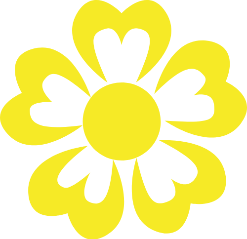 Hoa mai, hoa, hoa mai vàng, flower, tết, xuân, spring