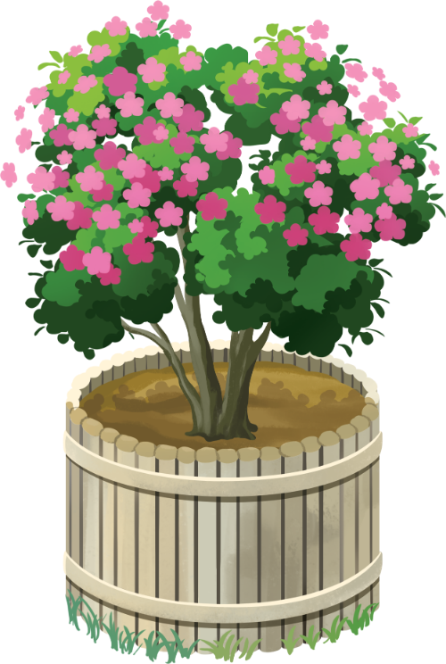 Cây hoa đào, hoa đào, màu hồng, chậu gỗ, cây cảnh, trang trí, thiên nhiên, vườn, cherry blossom tree, cherry blossom, pink, wooden pot, ornamental plant, decoration, nature, garden