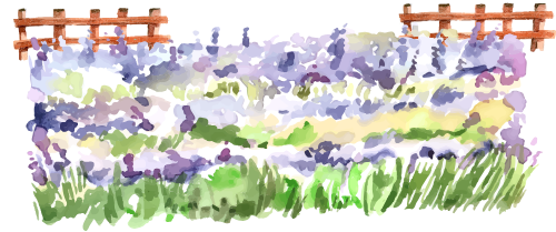 Màu nước, hoa lá 2