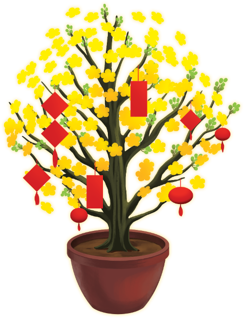 Cây mai, nở rộ, thực vật, hoa vàng, bao lì xì, lồng đèn, chậu đỏ, tết, apricot blossom tree, blooming, plant, yellow flower, lucky money envelope, lantern, red pot, lunar new year