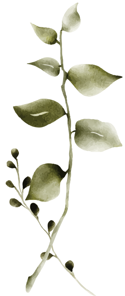 Hoa lá, hoa màu nước