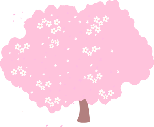Hoa đào, hoa anh đào, anh đào, cherry blossom, hoa, flower 5