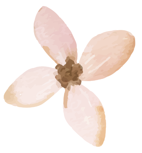 Hoa màu nước, hoa lá 2