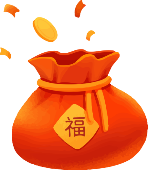 Túi tiền, túi