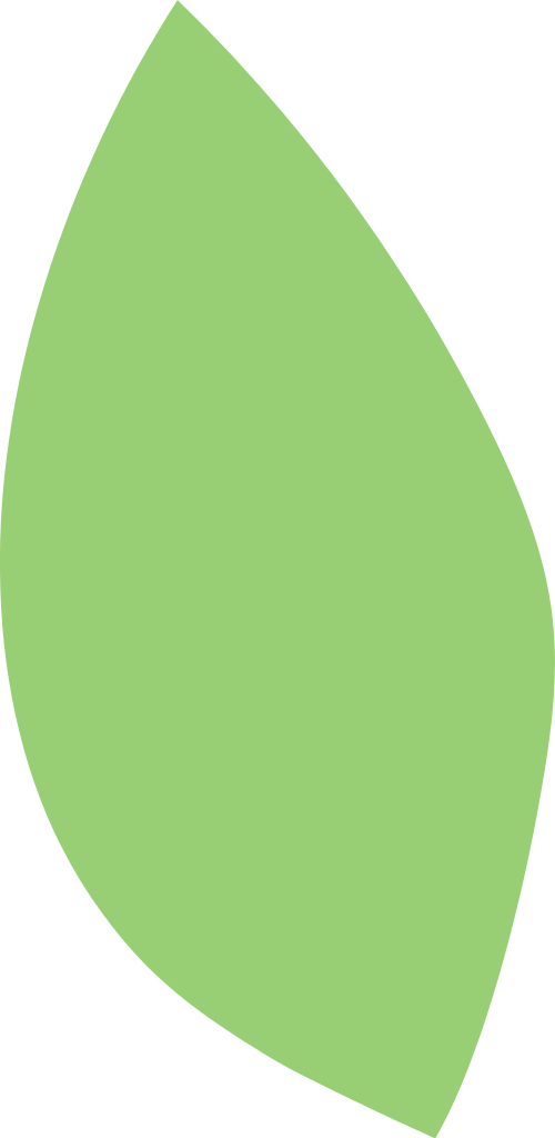 Lá, lá cây, leaf, leaves, shape
