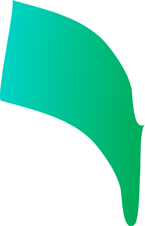 Pháo giấy, shape 5
