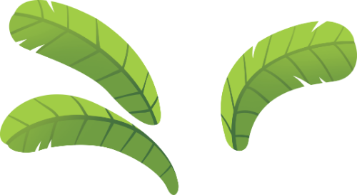 Lá chuối, lá, thực vật, màu xanh lá, thiên nhiên, nhiệt đới, trang trí, banana leaves, leaf, plant, green, nature, tropical, decoration