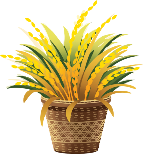 Gùi lúa, gùi, lúa chín, bông lúa, thu hoạch, nông nghiệp, vàng rực, bamboo basket with rice, basket, ripe rice, rice ear, harvest, agriculture, golden