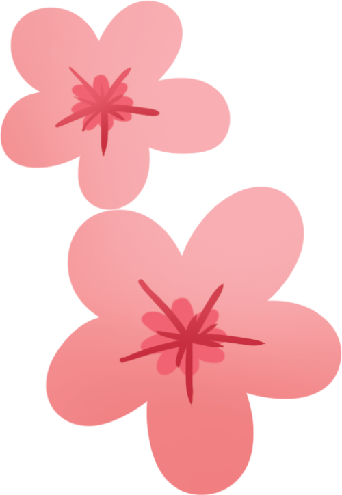 Hoa đào, hoa xuân, màu hồng, cánh hoa, thực vật, trang trí tết, cherry blossom, spring flower, pink, petal, plant, tet decoration