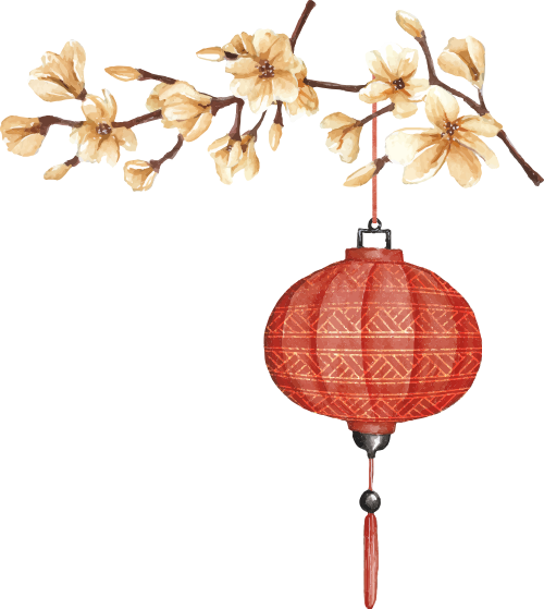 Lồng đèn đỏ, hoa mai, cành hoa, treo, tết, truyền thống, red lantern, apricot blossom, flower branch, hanging, lunar new year, traditional