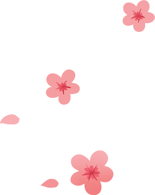 Hoa đào, hoa xuân, màu hồng, cánh hoa, thực vật, trang trí tết, cherry blossom, spring flower, pink, petal, plant, tet decoration