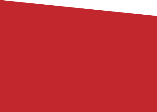 Shape, mảng màu