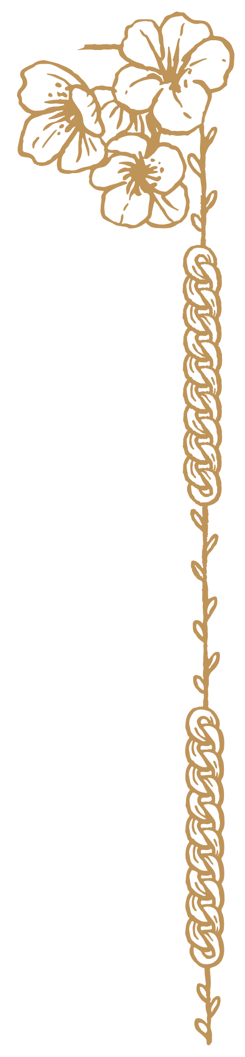 Danh mục Động vật