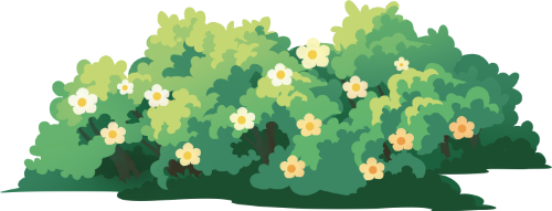 Lùm cây, bụi cây, hoa trắng, lá xanh, thiên nhiên, thực vật, vườn, bush, shrub, white flowers, green leaves, nature, plant, garden