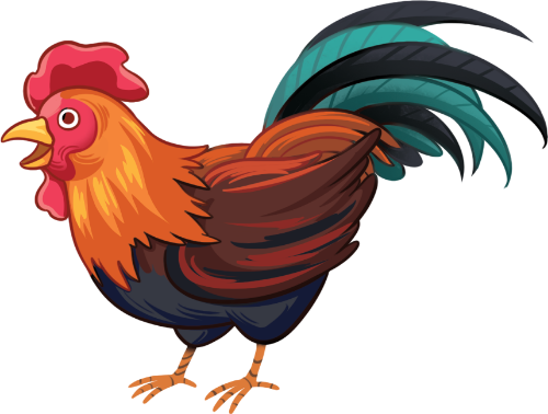 Con gà, gáy, động vật, gà trống, mào đỏ, lông đa sắc, gia cầm, rooster, crowing, animal, cock, red comb, colorful feathers, poultry