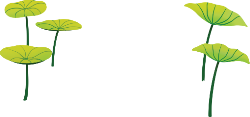 Cánh đồng sen, lá sen, màu xanh lá, thân dài, thiên nhiên, cây thủy sinh, cụm lá, lotus field, lotus leaf, green, long stem, nature, aquatic plant, leaf cluster