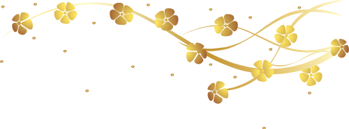 Mai, hoa mai, flower,  apricot blossom
