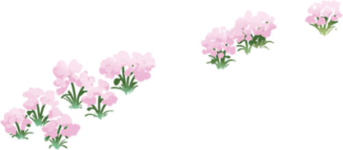 Hoa cỏ, hoa hồng nam, bụi cây, thiên nhiên, thực vật, trang trí, hồng, xanh lá, vườn, flowers and grass, pink flowers, bushes, nature, plants, decoration, pink, green, garden