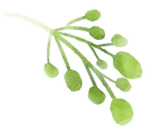 Lá cây, màu nước