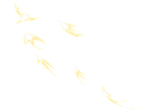 Chim, bird