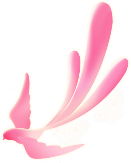 Chim, bird