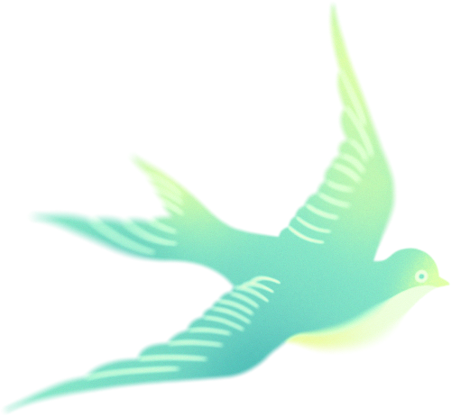 Chim, bird