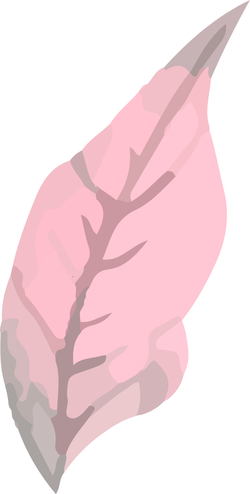 Lông vũ, bay bổng