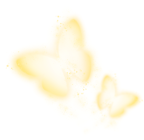 Bươm bướm, butterfly