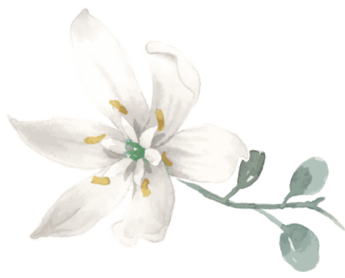 Hoa lá, hoa màu nước