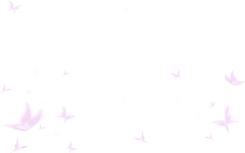 Bươm bướm, butterfly