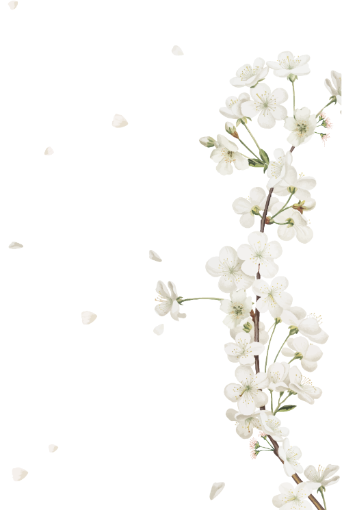 Hoa trắng, màu nước