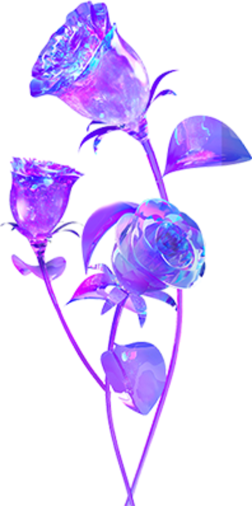 Hoa, flower