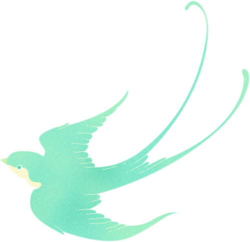 Chim, bird