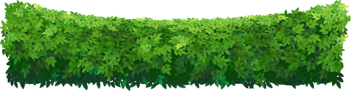 Cỏ, grass 1