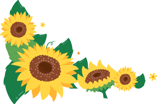 Hoa hướng dương, sunflower 1