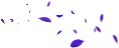 Danh mục Thiên nhiên