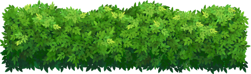 Cỏ, grass 2