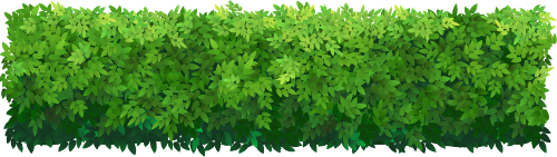 Cỏ, grass
