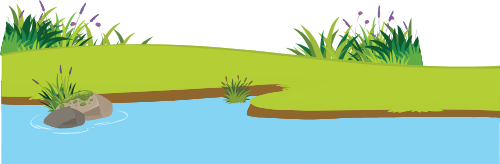 Cỏ, grass
