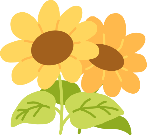 Hoa hướng dương, sunflower 5