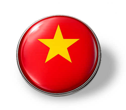 huy hiệu , việt Nam
