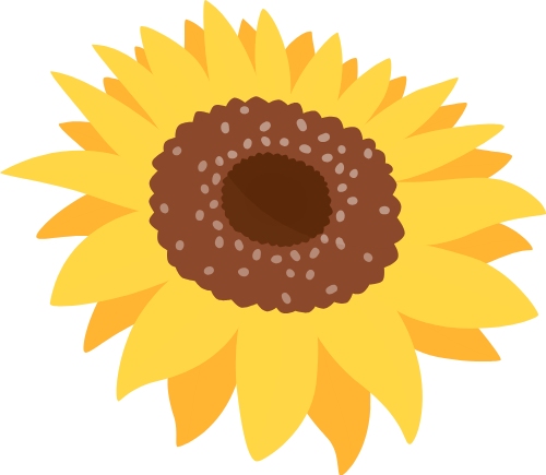 Hoa hướng dương, sunflower 2