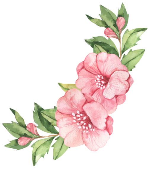 Hoa lá, hoa màu nước 3