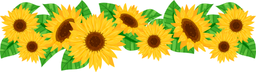Hoa hướng dương, sunflower