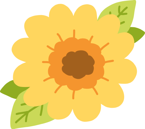 Hoa hướng dương, sunflower 8