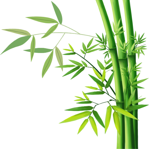 Danh mục Thiên nhiên