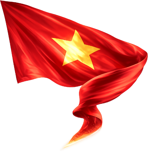 Lá cờ, Việt Nam