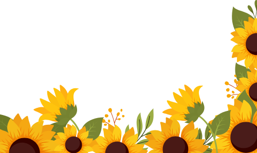 Hoa hướng dương, sunflower