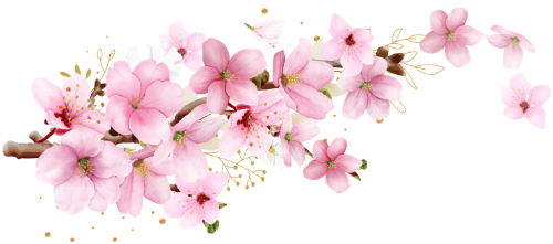 Hoa đào, hoa màu nước